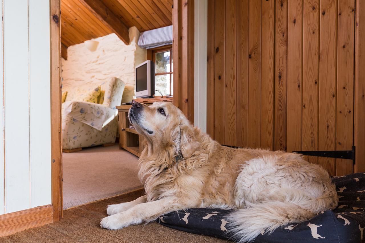 루 Trenderway Farm B&B 외부 사진