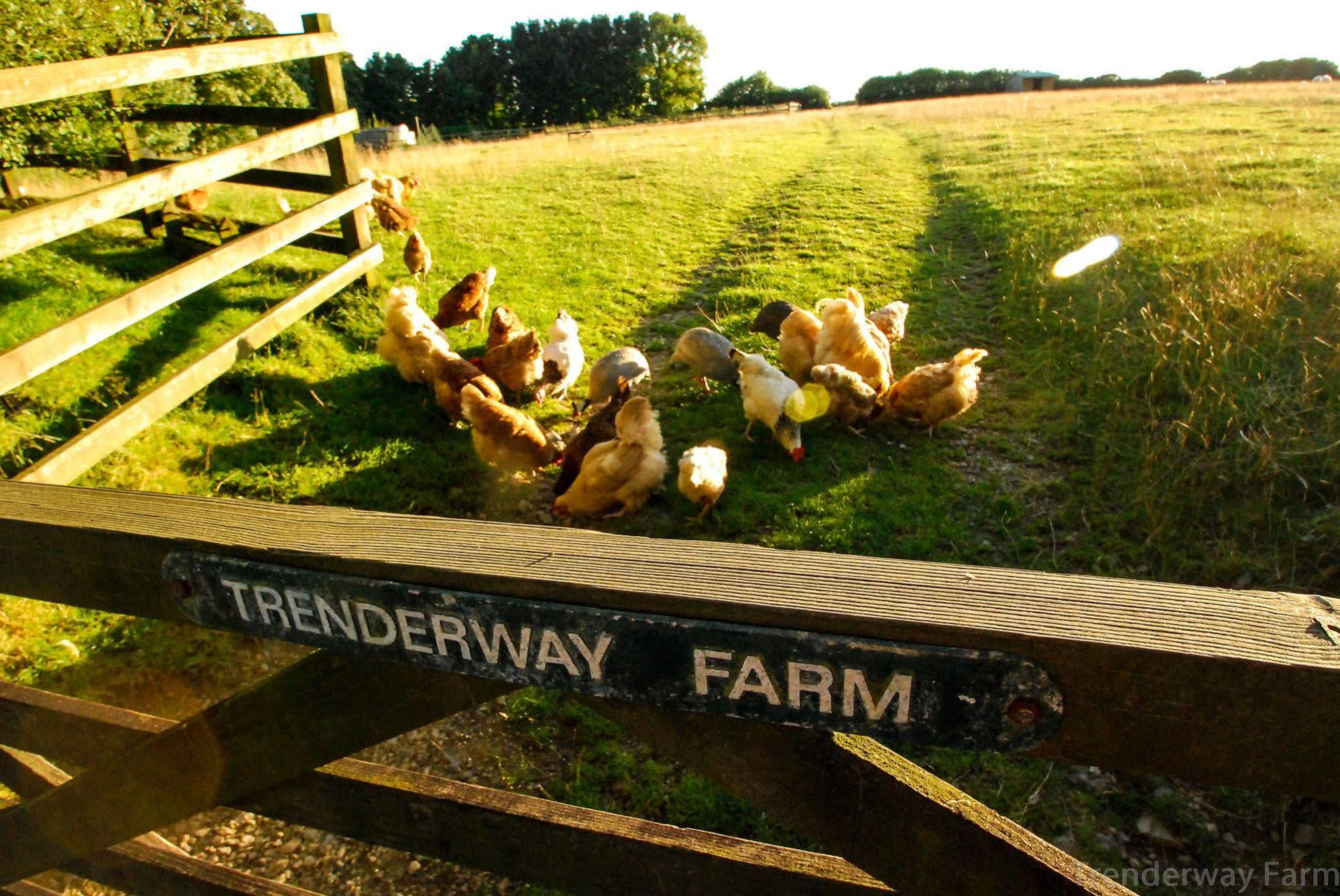 루 Trenderway Farm B&B 외부 사진